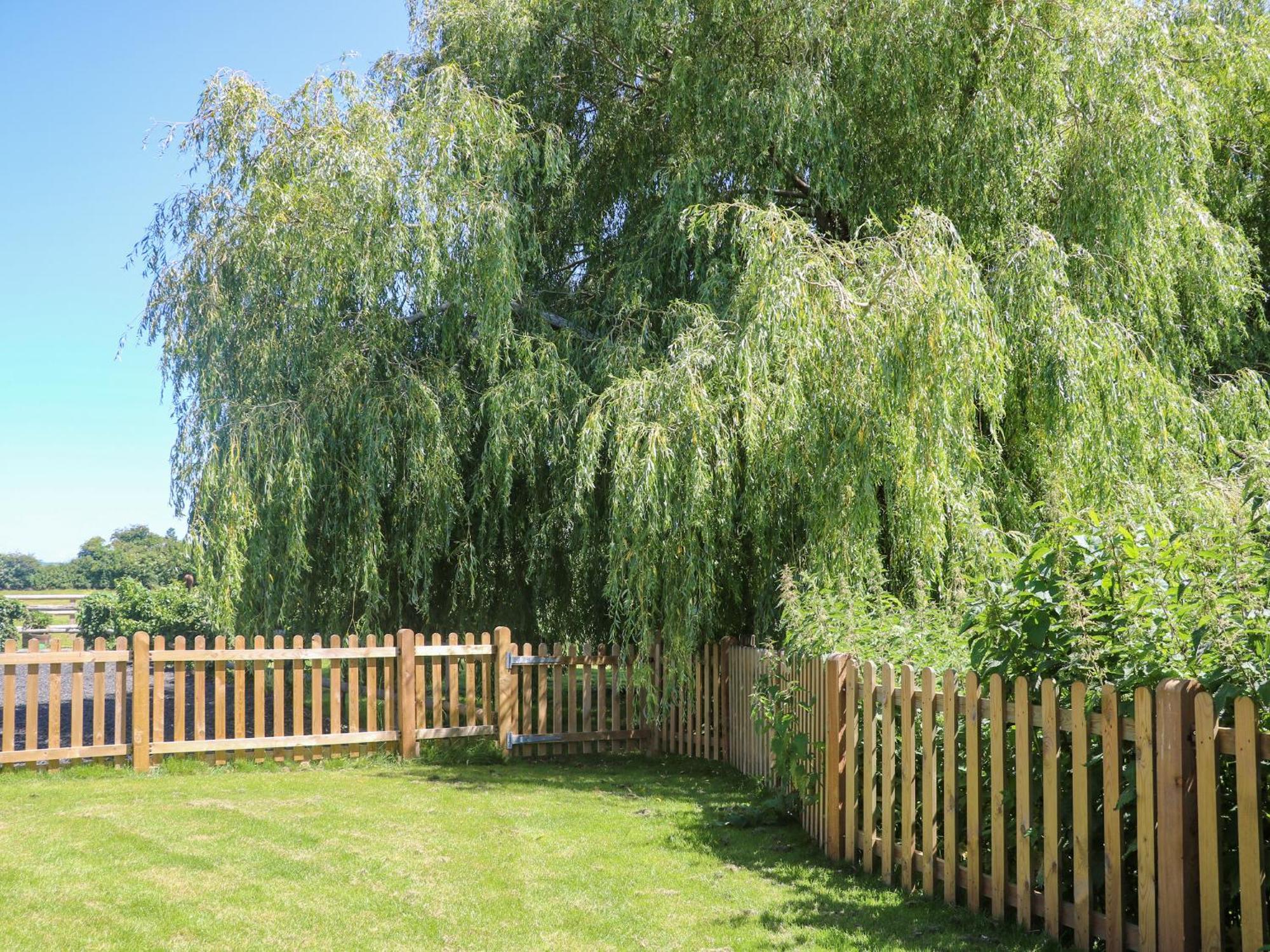 Willow Pod Αρουντέλ Εξωτερικό φωτογραφία
