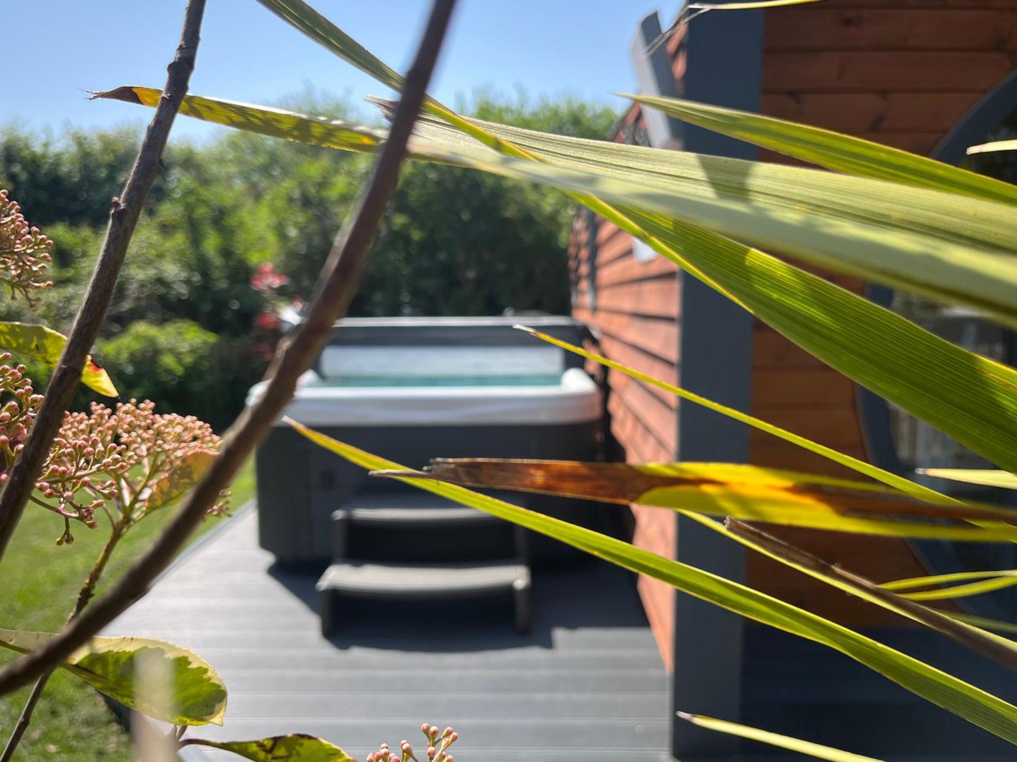 Willow Pod Αρουντέλ Εξωτερικό φωτογραφία